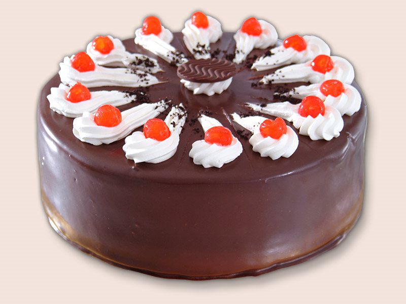 Chocolate Boston Cake 10"