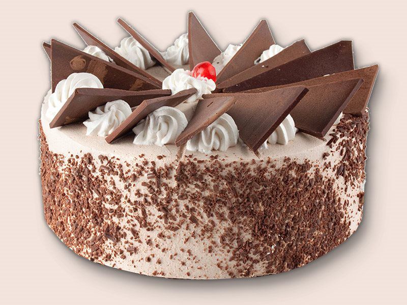 Raspberry Chocolate Fan Cake 10"