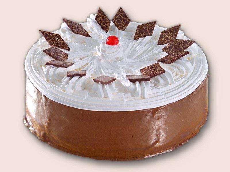 Cocoa Mousse Cake 10"