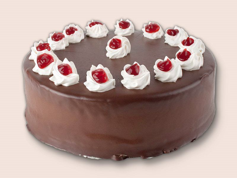 Raspberry Chocolate Mousse Cake 10"