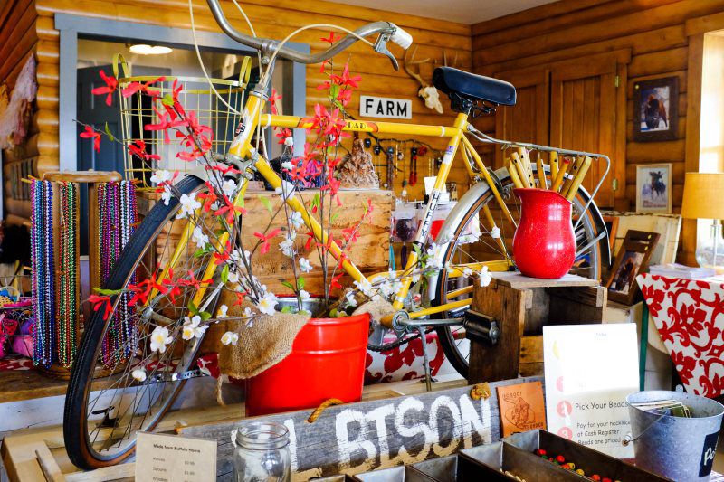 cooks bison ranch place