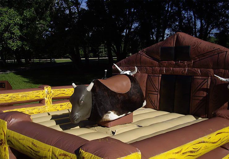 Mechanical Bull Rental Service