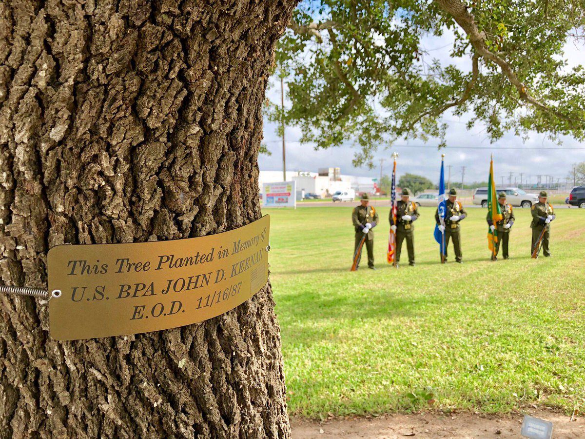 Tree planted