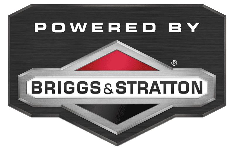 Briggs Stratton