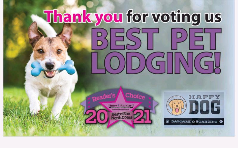 Best Pet Lodging