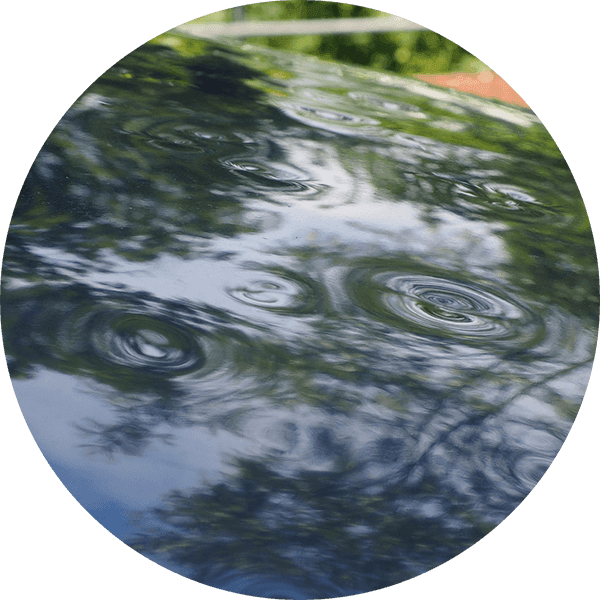 Paintless Dent Repairs