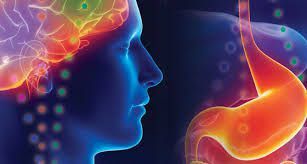 Brain-Gut Axis Imbalance