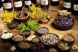 Herbal therapy