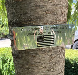 Tree Hugger