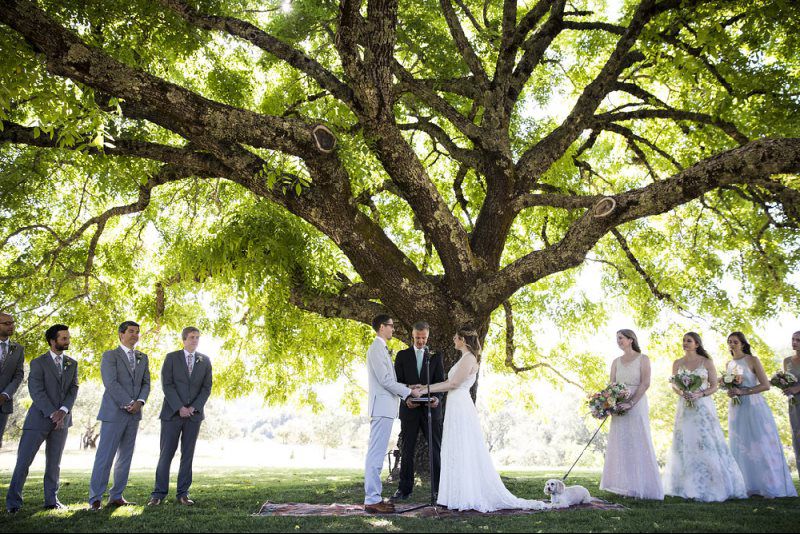 wedding vows