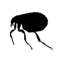 Fleas