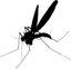 Mosquitoes