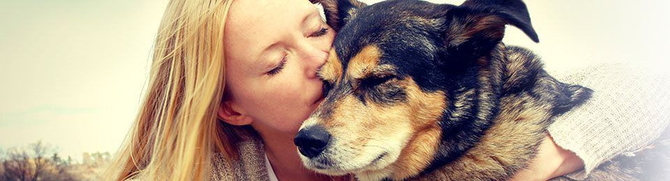 Quality Veterinary Care Willamette Valley Animal Hospital