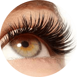 Eyelash Extensions