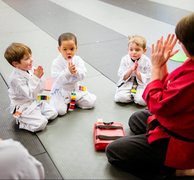 Quality Martial Arts Training Satori Academy of Martial Arts