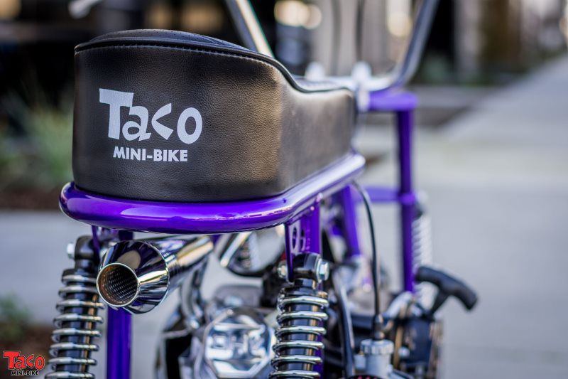 Taco 100B Custom purple