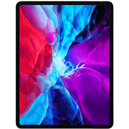 iPad Pro 12.9 (4th Gen)