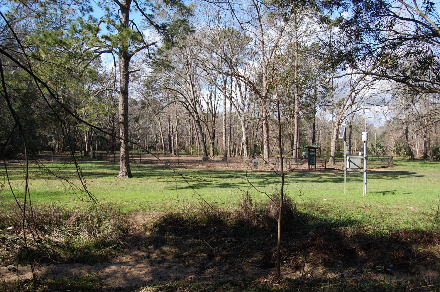 The Cottages At Rumba Tallahassee Student Housing