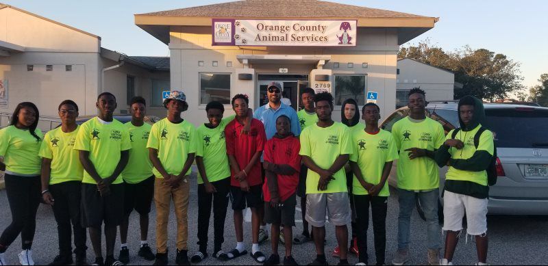 Donate Animal Food & Treats