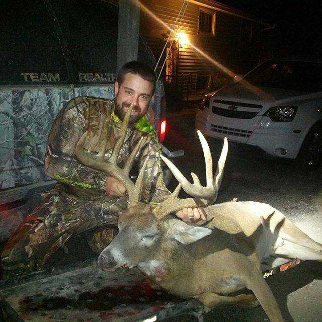 Deer