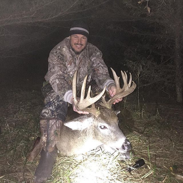Deer