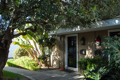 Katie & Alison - Professional Brokers - South Carolina Real Estate