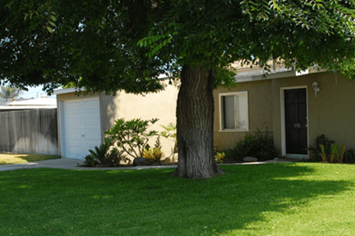 Katie & Alison - Professional Brokers - South Carolina Real Estate