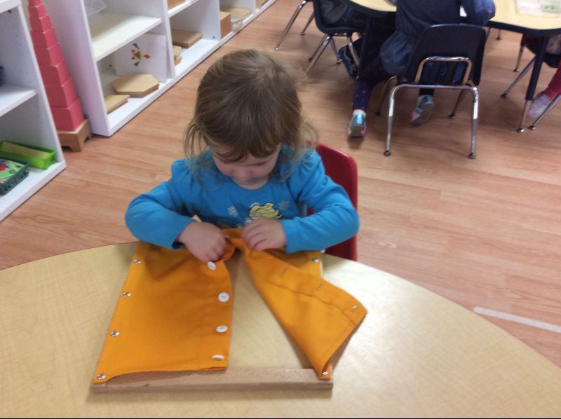 montessori school