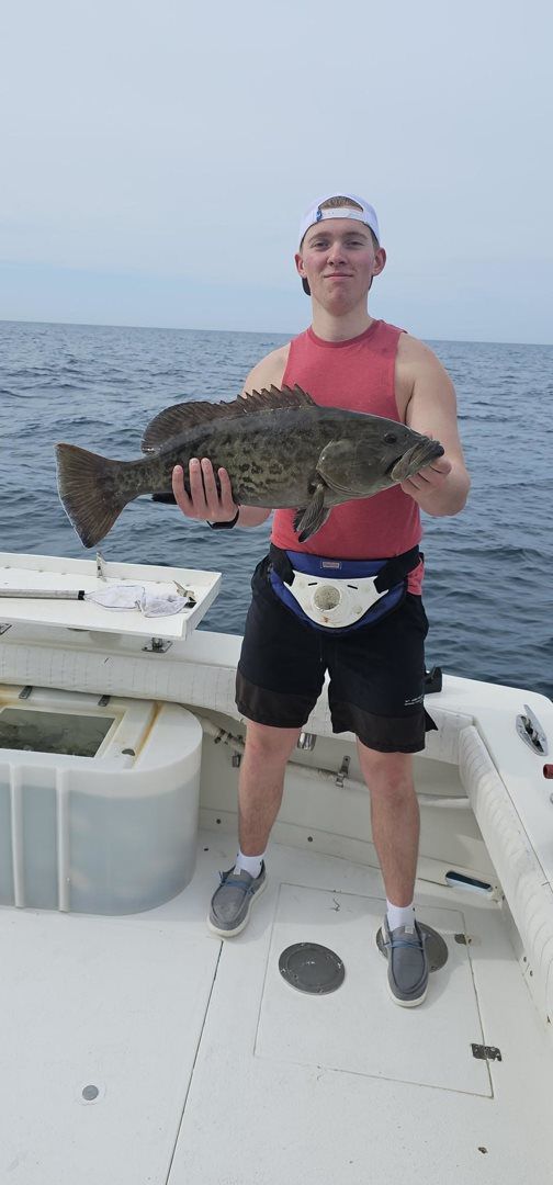 March April  catching 2024