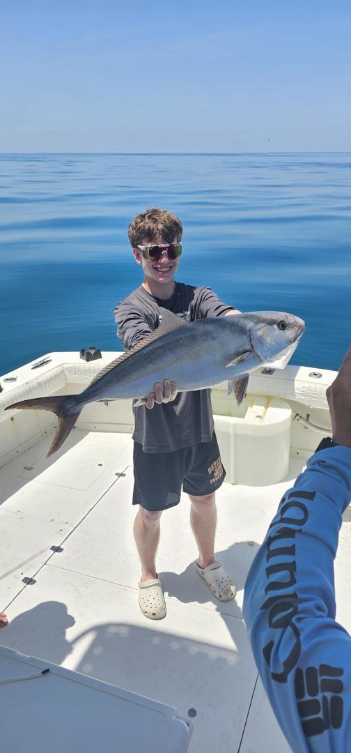 April may catching 2024