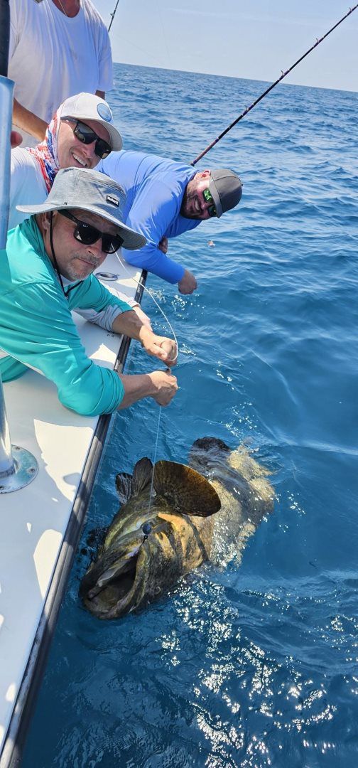 April may catching 2024