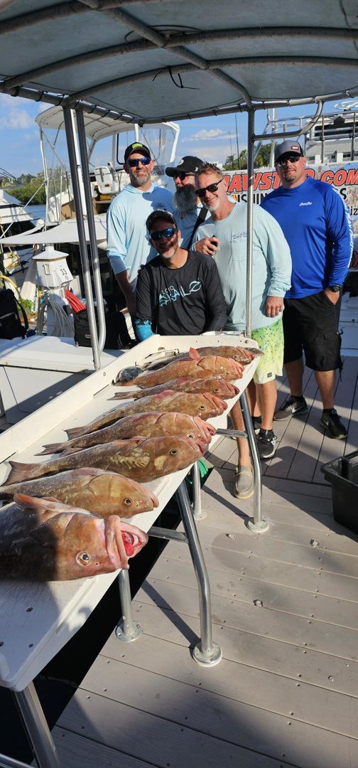 March April  catching 2024