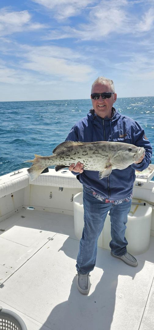 March April  catching 2024