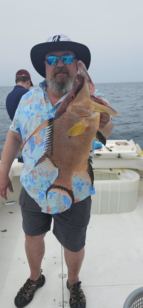 March April  catching 2024