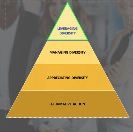 DIVERSITY MATURITY AND  INCLUSION​