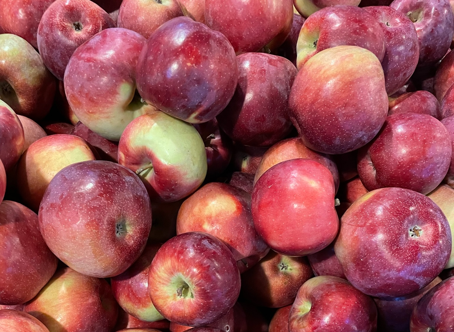 Apples