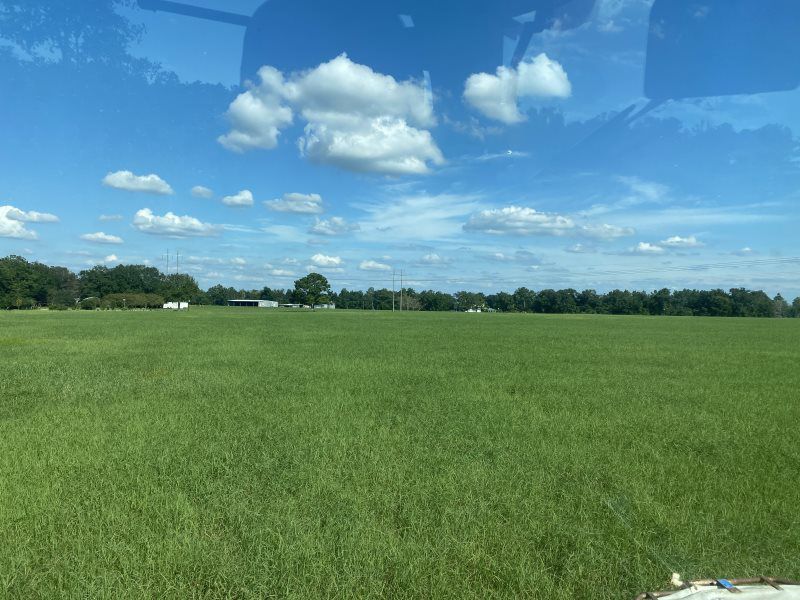 Crazy Heifer Farms