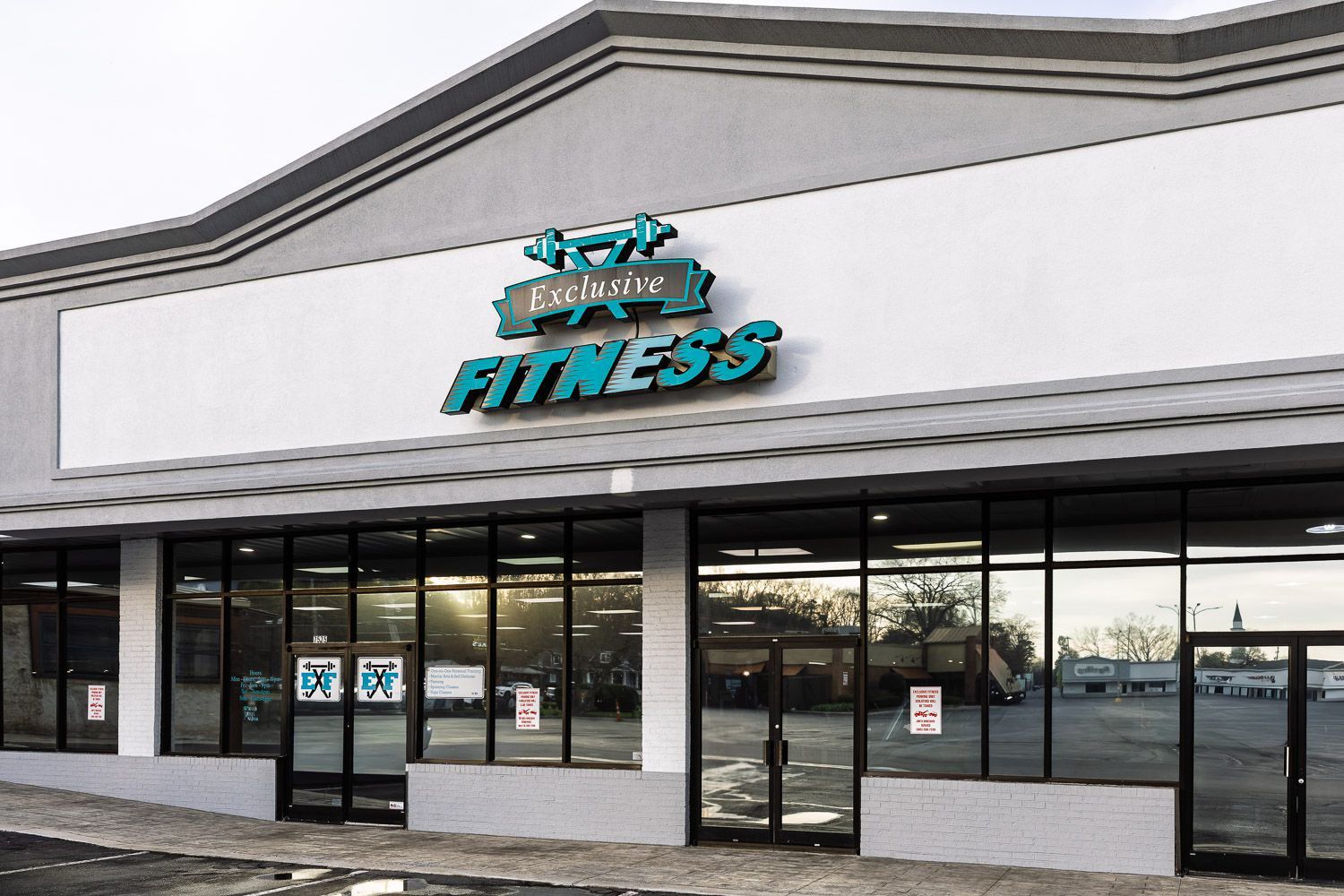 Exclusive Fitness Training Equipment 