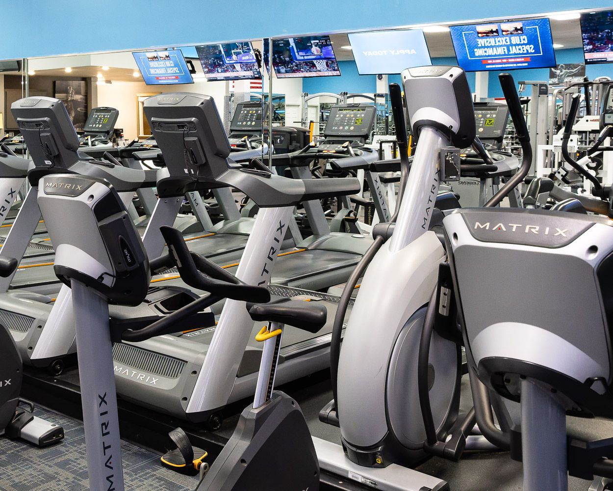 Exclusive Fitness Training Equipment 