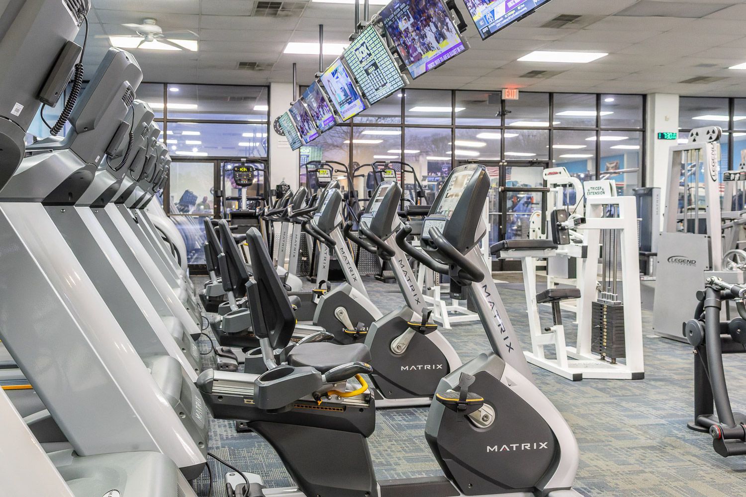 Exclusive Fitness Training Equipment 