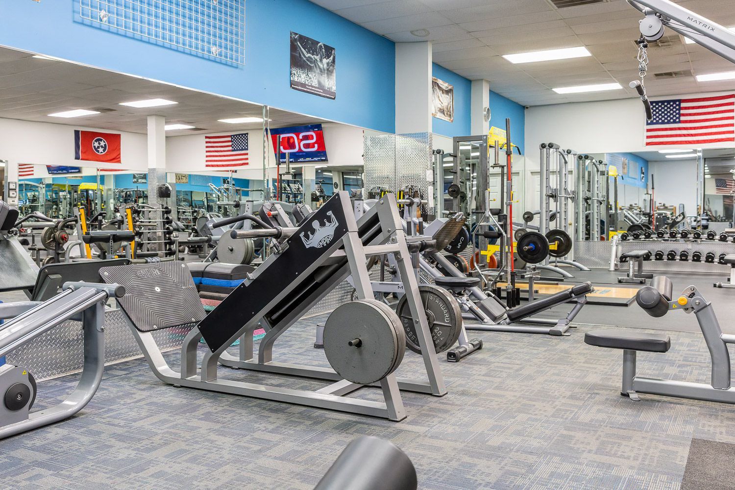 Exclusive Fitness Training Equipment 