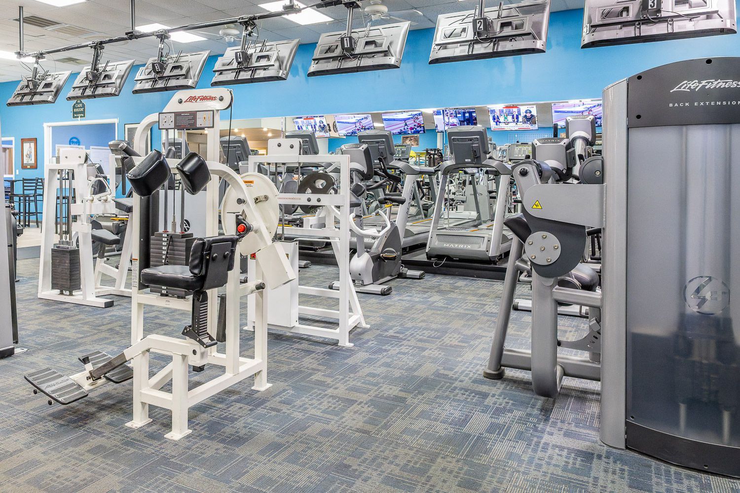 Exclusive Fitness Training Equipment 