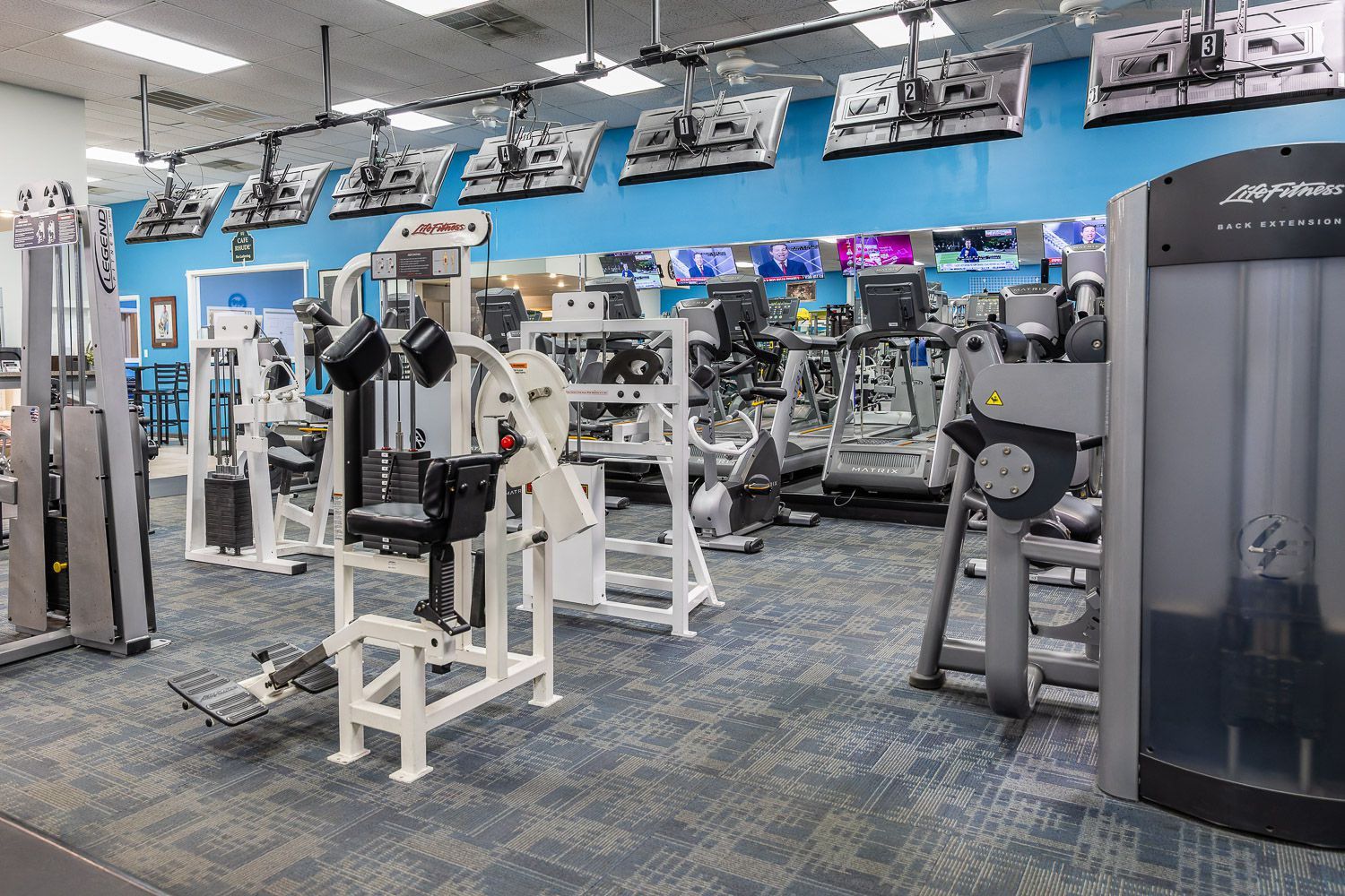 Exclusive Fitness Training Equipment 