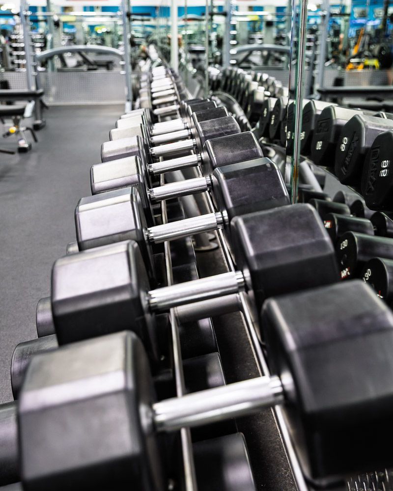 Exclusive Fitness Training Equipment 