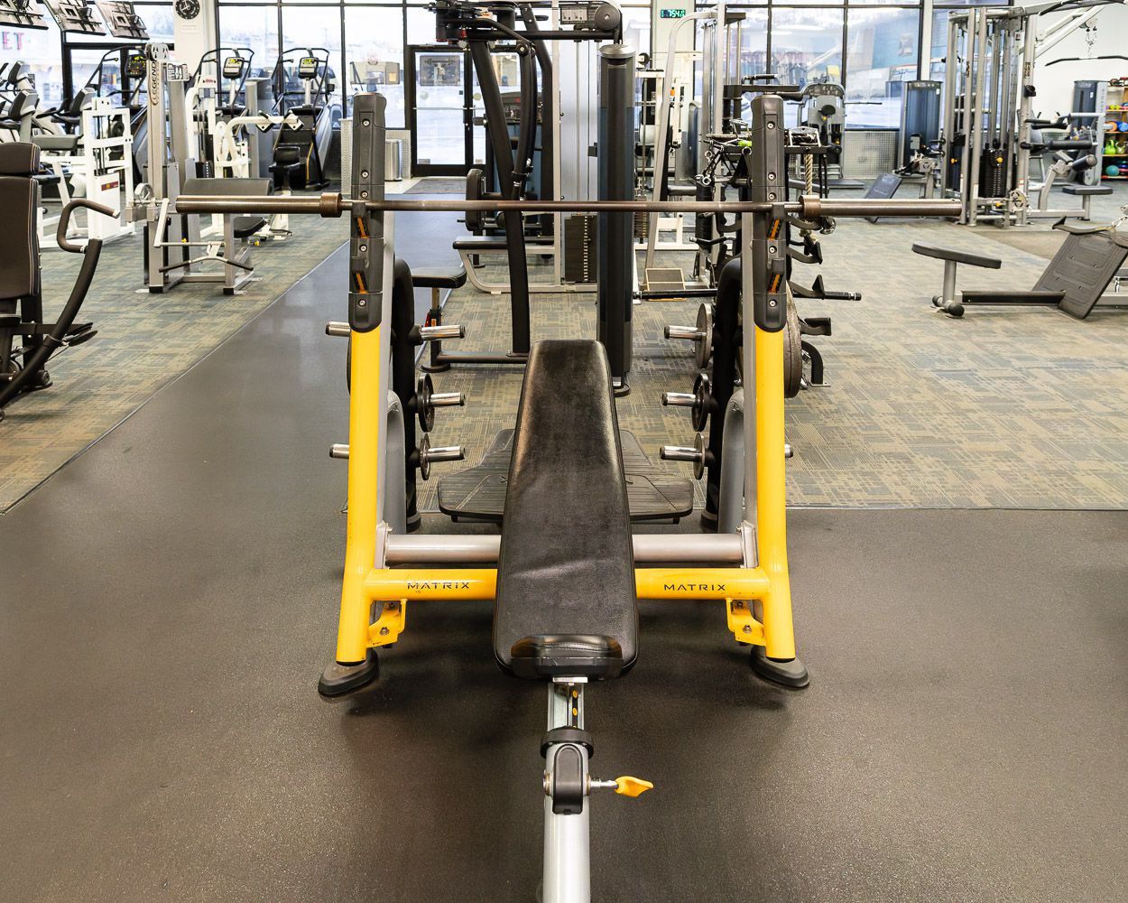 Exclusive Fitness Training Equipment 