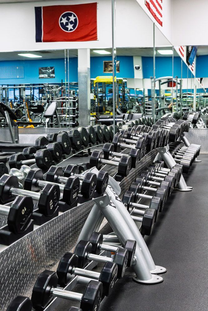 Exclusive Fitness Training Equipment 