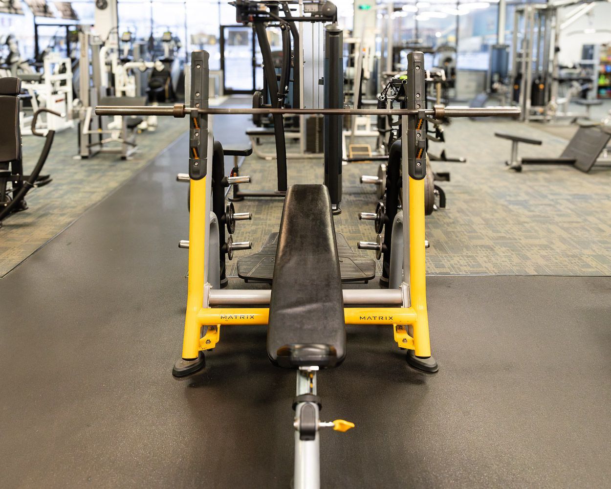 Exclusive Fitness Training Equipment 