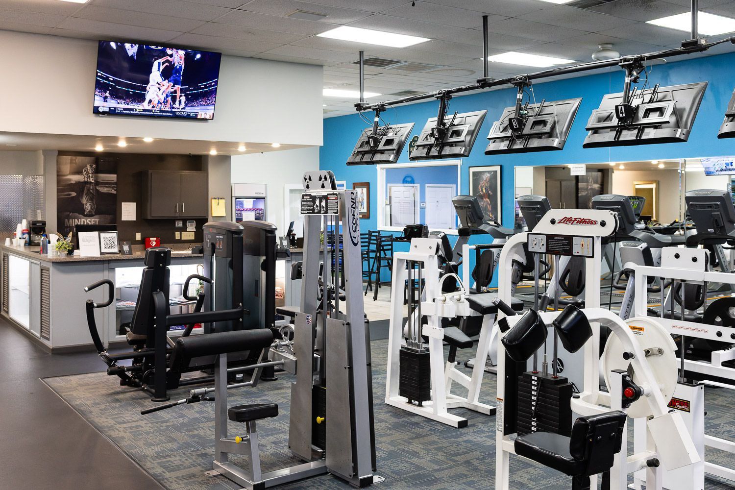 Exclusive Fitness Training Equipment 