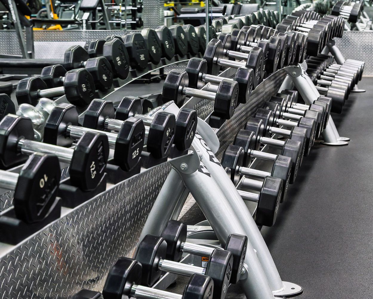 Exclusive Fitness Training Equipment 