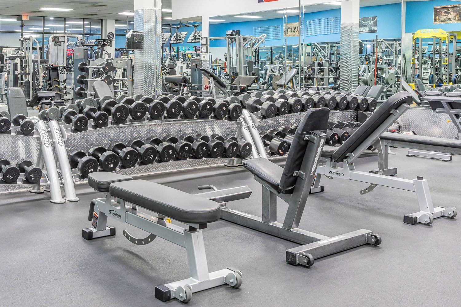 Exclusive Fitness Training Equipment 